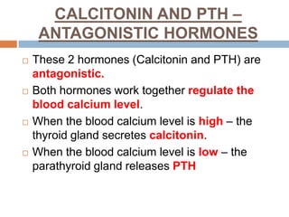 CALCITONIN AND PTH –
ANTAGONISTIC HORMONES
 These 2 hormones (Calcitonin and PTH) are
antagonistic.
 Both hormones work together regulate the
blood calcium level.
 When the blood calcium level is high – the
thyroid gland secretes calcitonin.
 When the blood calcium level is low – the
parathyroid gland releases PTH
 