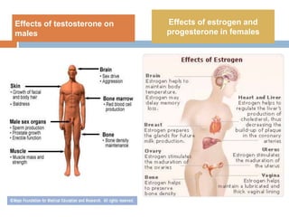 Effects of testosterone on
males
Effects of estrogen and
progesterone in females
 
