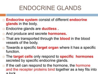 ENDOCRINE GLANDS
 Endocrine system consist of different endocrine
glands in the body.
 Endocrine glands are ductless .
 And produce and secrete hormones.
 That are transported through the blood in the blood
vessels of the body.
 Towards a specific target organ where it has a specific
function.
 The target cells only respond to specific hormones
secreted by specific endocrine glands.
 If the cell can respond to the hormone, the hormone
and the recepter proteins bind together as a key fits into
 