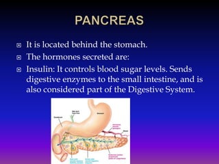 



It is located behind the stomach.
The hormones secreted are:
Insulin: It controls blood sugar levels. Sends
digestive enzymes to the small intestine, and is
also considered part of the Digestive System.

 