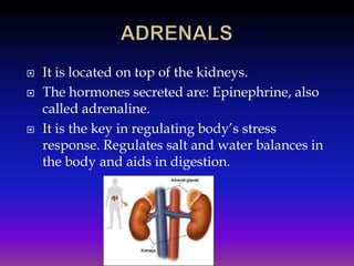 




It is located on top of the kidneys.
The hormones secreted are: Epinephrine, also
called adrenaline.
It is the key in regulating body’s stress
response. Regulates salt and water balances in
the body and aids in digestion.

 