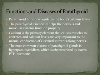  Parathyroid hormone regulates the body’s calcium levels.
 The parathyroid essentially helps the nervous and
muscular systems function properly.
 Calcium is the primary element that causes muscles to
contract, and calcium levels are very important to the
normal conduction of electrical currents along nerves.
 The most common disease of parathyroid glands is
hyperparathyroidism, which is characterized by excess
PTH hormone.
 
