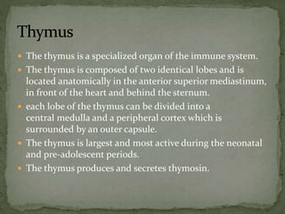  The thymus is a specialized organ of the immune system.
 The thymus is composed of two identical lobes and is
located anatomically in the anterior superior mediastinum,
in front of the heart and behind the sternum.
 each lobe of the thymus can be divided into a
central medulla and a peripheral cortex which is
surrounded by an outer capsule.
 The thymus is largest and most active during the neonatal
and pre-adolescent periods.
 The thymus produces and secretes thymosin.
 