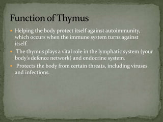  Helping the body protect itself against autoimmunity,
which occurs when the immune system turns against
itself.
 The thymus plays a vital role in the lymphatic system (your
body’s defence network) and endocrine system.
 Protects the body from certain threats, including viruses
and infections.
 