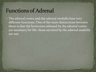  The adrenal cortex and the adrenal medulla have very
different functions. One of the main distinctions between
them is that the hormones released by the adrenal cortex
are necessary for life; those secreted by the adrenal medulla
are not.
 