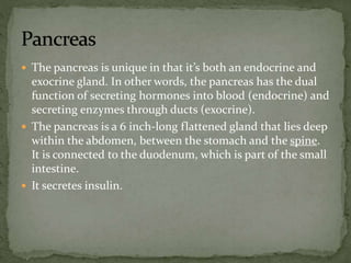  The pancreas is unique in that it’s both an endocrine and
exocrine gland. In other words, the pancreas has the dual
function of secreting hormones into blood (endocrine) and
secreting enzymes through ducts (exocrine).
 The pancreas is a 6 inch-long flattened gland that lies deep
within the abdomen, between the stomach and the spine.
It is connected to the duodenum, which is part of the small
intestine.
 It secretes insulin.
 