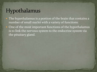  The hypothalamus is a portion of the brain that contains a
number of small nuclei with a variety of functions.
 One of the most important functions of the hypothalamus
is to link the nervous system to the endocrine system via
the pituitary gland.
 