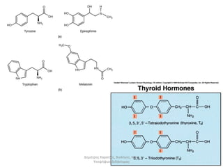 Δημήτρης Καρατζάς, Βιολόγος, MSc, 
Υποψήφιος Διδάκτορας 
 