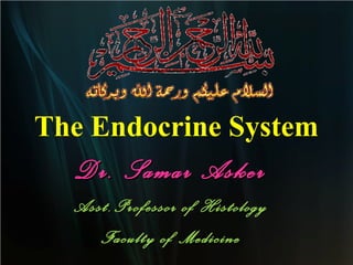 The Endocrine System
Dr. Samar AskerDr. Samar Asker
Asst.Professor of HistologyAsst.Professor of Histology
Faculty of MedicineFaculty of Medicine
 