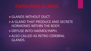 ENDOCRINE GLANDS
GLANDS WITHOUT DUCT
A GLAND THAT PRODUCE AND SECRETE
HORMONES WITHIN THE BODY.
DIFFUSE INTO HAEMOLYMPH.
ALSO CALLED AS RETRO CEREBRAL
GLANDS.
 