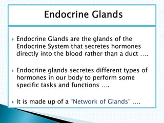 the endocrine glands and their functions