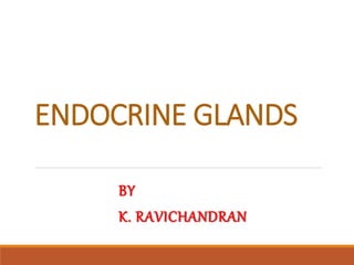 ENDOCRINE GLANDS
BY
K. RAVICHANDRAN
 