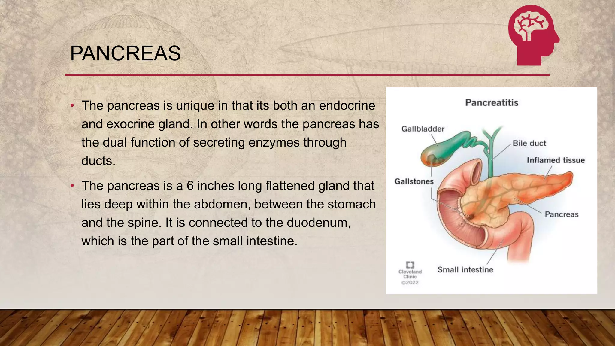 Endocrine glands.pptx