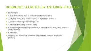 HORMONES SECRETED BY ANTERIOR PITUITARY
 Six hormones
 1. Growth hormone (GH) or somatotropic hormone (STH)
 2. Thyroid-stimulating hormone (TSH) or thyrotropic hormone
 3. Adrenocorticotropic hormone (ACTH)
 4. Follicle-stimulating hormone (FSH)
 5. Luteinizing hormone (LH) in females or interstitialcell- stimulating hormone
(ICSH) in males
 6. Prolactin.
 Recently, the hormone β-lipotropin is found to be secreted by anterior
pituitary.
 