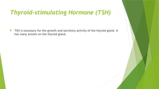 Thyroid-stimulating Hormone (TSH)
 TSH is necessary for the growth and secretory activity of the thyroid gland. It
has many actions on the thyroid gland.
 