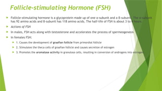 Follicle-stimulating Hormone (FSH)
 Follicle-stimulating hormone is a glycoprotein made up of one α-subunit and a β-subunit. The α-subunit
has 92 amino acids and β-subunit has 118 amino acids. The half-life of FSH is about 3 to 4 hours.
 Actions of FSH
 In males, FSH acts along with testosterone and accelerates the process of spermeogenesis
 In females FSH:
 1. Causes the development of graafian follicle from primordial follicle
 2. Stimulates the theca cells of graafian follicle and causes secretion of estrogen
 3. Promotes the aromatase activity in granulosa cells, resulting in conversion of androgens into estrogen.
 