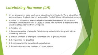Luteinizing Hormone (LH)
 LH is a glycoprotein made up of one α-subunit and one β-subunit. The α-subunit has 92
amino acids and β-subunit has 141 amino acids. The half-life of LH is about 60 minutes.
 In males, LH is known as interstitial cell-stimulating hormone (ICSH) because it
stimulates the interstitial cells of Leydig in testes. This hormone is essential for the
secretion of testosterone from Leydig cells
 In females, LH:
 1. Causes maturation of vesicular follicle into graafian follicle along with follicle-
stimulating hormone
 2. Induces synthesis of androgens from theca cells of growing follicle
 3. Is responsible for ovulation
 4. Is necessary for the formation of corpus luteum
 5. Activates the secretory functions of corpus luteum.
 