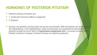 HORMONES OF POSTERIOR PITUITARY
 Posterior pituitary hormones are:
 1. Antidiuretic hormone (ADH) or vasopressin
 2. Oxytocin
 Actually, the posterior pituitary does not secrete any hormone. ADH and oxytocin are synthesized in
the hypothalamus. From hypothalamus, these two hormones are transported to the posterior
pituitary through the nerve fibers of hypothalamo-hypophyseal tract , by means of axonic flow.
Proteins involved in transport of these hormones are called neurophysins
 