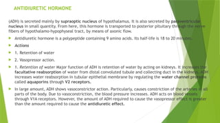 ANTIDIURETIC HORMONE
(ADH) is secreted mainly by supraoptic nucleus of hypothalamus. It is also secreted by paraventricular
nucleus in small quantity. From here, this hormone is transported to posterior pituitary through the nerve
fibers of hypothalamo-hypophyseal tract, by means of axonic flow.
 Antidiuretic hormone is a polypeptide containing 9 amino acids. Its half-life is 18 to 20 minutes.
 Actions
 1. Retention of water
 2. Vasopressor action.
 1. Retention of water Major function of ADH is retention of water by acting on kidneys. It increases the
facultative reabsorption of water from distal convoluted tubule and collecting duct in the kidneys. ADH
increases water reabsorption in tubular epithelial membrane by regulating the water channel proteins
called aquaporins through V2 receptors.
 In large amount, ADH shows vasoconstrictor action. Particularly, causes constriction of the arteries in all
parts of the body. Due to vasoconstriction, the blood pressure increases. ADH acts on blood vessels
through V1A receptors. However, the amount of ADH required to cause the vasopressor effect is greater
than the amount required to cause the antidiuretic effect.
 