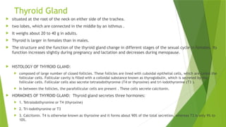 Thyroid Gland
 situated at the root of the neck on either side of the trachea.
 two lobes, which are connected in the middle by an isthmus .
 It weighs about 20 to 40 g in adults.
 Thyroid is larger in females than in males.
 The structure and the function of the thyroid gland change in different stages of the sexual cycle in females. Its
function increases slightly during pregnancy and lactation and decreases during menopause.
 HISTOLOGY OF THYROID GLAND:
 composed of large number of closed follicles. These follicles are lined with cuboidal epithelial cells, which are called the
follicular cells. Follicular cavity is filled with a colloidal substance known as thyroglobulin, which is secreted by the
follicular cells. Follicular cells also secrete tetraiodothyronine (T4 or thyroxine) and tri-iodothyronine (T3 ).
 In between the follicles, the parafollicular cells are present . These cells secrete calcitonin.
 HORMONES OF THYROID GLAND: Thyroid gland secretes three hormones:
 1. Tetraiodothyronine or T4 (thyroxine)
 2. Tri-iodothyronine or T3
 3. Calcitonin. T4 is otherwise known as thyroxine and it forms about 90% of the total secretion, whereas T3 is only 9% to
10%.
 