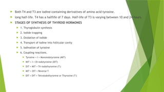  Both T4 and T3 are iodine-containing derivatives of amino acid tyrosine.
 long half-life. T4 has a halflife of 7 days. Half-life of T3 is varying between 10 and 24 hours.
 STAGES OF SYNTHESIS OF THYROID HORMONES
 1. Thyroglobulin synthesis
 2. Iodide trapping
 3. Oxidation of iodide
 4. Transport of iodine into follicular cavity
 5. Iodination of tyrosine
 6. Coupling reactions.
 Tyrosine + I = Monoiodotyrosine (MIT)
 MIT + I = Di-iodotyrosine (DIT)
 DIT + MIT = Tri-iodothyronine (T3)
 MIT + DIT = Reverse T3
 DIT + DIT = Tetraiodothyronine or Thyroxine (T4)
 