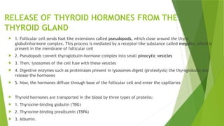 RELEASE OF THYROID HORMONES FROM THE
THYROID GLAND
 1. Follicular cell sends foot-like extensions called pseudopods, which close around the thyro
globulinhormone complex. This process is mediated by a receptor-like substance called megalin, which is
present in the membrane of follicular cell
 2. Pseudopods convert thyroglobulin-hormone complex into small pinocytic vesicles
 3. Then, lysosomes of the cell fuse with these vesicles
 4. Digestive enzymes such as proteinases present in lysosomes digest (proteolysis) the thyroglobulin and
release the hormones
 5. Now, the hormones diffuse through base of the follicular cell and enter the capillaries
 Thyroid hormones are transported in the blood by three types of proteins:
 1. Thyroxine-binding globulin (TBG)
 2. Thyroxine-binding prealbumin (TBPA)
 3. Albumin.
 