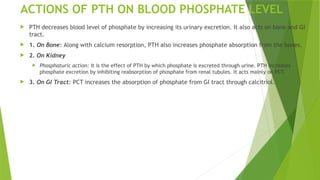 ACTIONS OF PTH ON BLOOD PHOSPHATE LEVEL
 PTH decreases blood level of phosphate by increasing its urinary excretion. It also acts on bone and GI
tract.
 1. On Bone: Along with calcium resorption, PTH also increases phosphate absorption from the bones.
 2. On Kidney
 Phosphaturic action: It is the effect of PTH by which phosphate is excreted through urine. PTH increases
phosphate excretion by inhibiting reabsorption of phosphate from renal tubules. It acts mainly on PCT.
 3. On GI Tract: PCT increases the absorption of phosphate from GI tract through calcitriol.
 