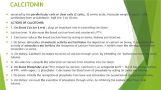 CALCITONIN
 secreted by the parafollicular cells or clear cells (C cells), 32 amino acids, molecular weight is about 3,400,
synthesized from procalcitonin, half life: 5 to 10 min.
 ACTIONS OF CALCITONIN:
 1. On Blood Calcium Level : plays an important role in controlling the blood
 calcium level. It decreases the blood calcium level and counteracts PTH.
 1. Calcitonin reduces the blood calcium level by acting on bones, kidneys and intestine.
 i. On bones: stimulates osteoblastic activity and facilitates the deposition of calcium on bones, it suppresses the
activity of osteoclasts and inhibits the resorption of calcium from bones. It inhibits even the development of new
osteoclasts in bones.
 ii. On kidney: Calcitonin increases excretion of calcium through urine, by inhibiting the reabsorption from the renal
tubules.
 iii. On intestine: prevents the absorption of calcium from intestine into the blood.
 2. On Blood Phosphate Level:With respect to calcium, calcitonin is an antagonist to PTH. But it has similar actions
of PTH, with respect to phosphate. It decreases the blood level of phosphate by acting on bones and kidneys.
 i. On bones: inhibits the resorption of phosphate from bone and stimulates the deposition of phosphate on bones.
 ii. On kidney: increases the excretion of phosphate through urine, by inhibiting the reabsorption from renal
tubules.
 
