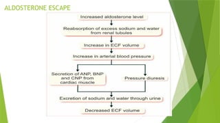 ALDOSTERONE ESCAPE
 