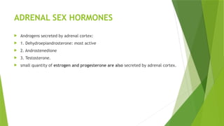 ADRENAL SEX HORMONES
 Androgens secreted by adrenal cortex:
 1. Dehydroepiandrosterone: most active
 2. Androstenedione
 3. Testosterone.
 small quantity of estrogen and progesterone are also secreted by adrenal cortex.
 