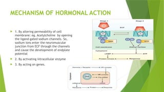 MECHANISM OF HORMONAL ACTION
 1. By altering permeability of cell
membrane: eg. Acetylcholine by opening
the ligand-gated sodium channels. So,
sodium ions enter the neuromuscular
junction from ECF through the channels
and cause the development of endplate
potential
 2. By activating intracellular enzyme
 3. By acting on genes.
 