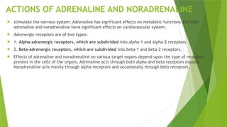 ACTIONS OF ADRENALINE AND NORADRENALINE
 stimulate the nervous system. Adrenaline has significant effects on metabolic functions and both
adrenaline and noradrenaline have significant effects on cardiovascular system.
 Adrenergic receptors are of two types:
 1. Alpha-adrenergic receptors, which are subdivided into alpha-1 and alpha-2 receptors
 2. Beta-adrenergic receptors, which are subdivided into beta-1 and beta-2 receptors.
 Effects of adrenaline and noradrenaline on various target organs depend upon the type of receptors
present in the cells of the organs. Adrenaline acts through both alpha and beta receptors equally.
Noradrenaline acts mainly through alpha receptors and occasionally through beta receptors.
 