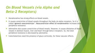 On Blood Vessels (via Alpha and
Beta-2 Receptors)
 Noradrenaline has strong effects on blood vessels.
 It causes constriction of blood vessels throughout the body via alpha receptors. So it is
called ‘general vasoconstrictor’. Vasoconstrictor effect of noradrenaline increases total
peripheral resistance.
 Adrenaline also causes constriction of blood vessels. However, it causes dilatation of blood
vessels in skeletal muscle, liver and heart through beta-2 receptors. So, the total
peripheral resistance is decreased by adrenaline.
 Catecholamines need the presence of gluco corticoids, for these vascular effects.
 