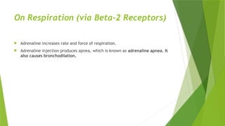 On Respiration (via Beta-2 Receptors)
 Adrenaline increases rate and force of respiration.
 Adrenaline injection produces apnea, which is known as adrenaline apnea. It
also causes bronchodilation.
 