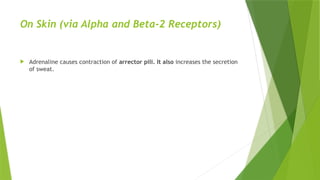 On Skin (via Alpha and Beta-2 Receptors)
 Adrenaline causes contraction of arrector pili. It also increases the secretion
of sweat.
 