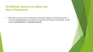 On Skeletal Muscle (via Alpha and
Beta-2 Receptors)
 Adrenaline causes severe contraction and quick fatigue of skeletal muscle. It
increases glycogenolysis and release of glucose from muscle into blood. It also
causes vasodilatation in skeletal muscles.
 