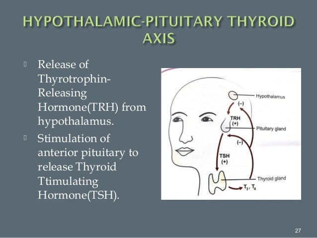 Endocrine glands and disorder