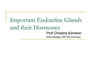 Important Endocrine Glands
and their Hormones
Prof Chetana Kanekar
M.Sc Zoology ( SET life sciences)
 
