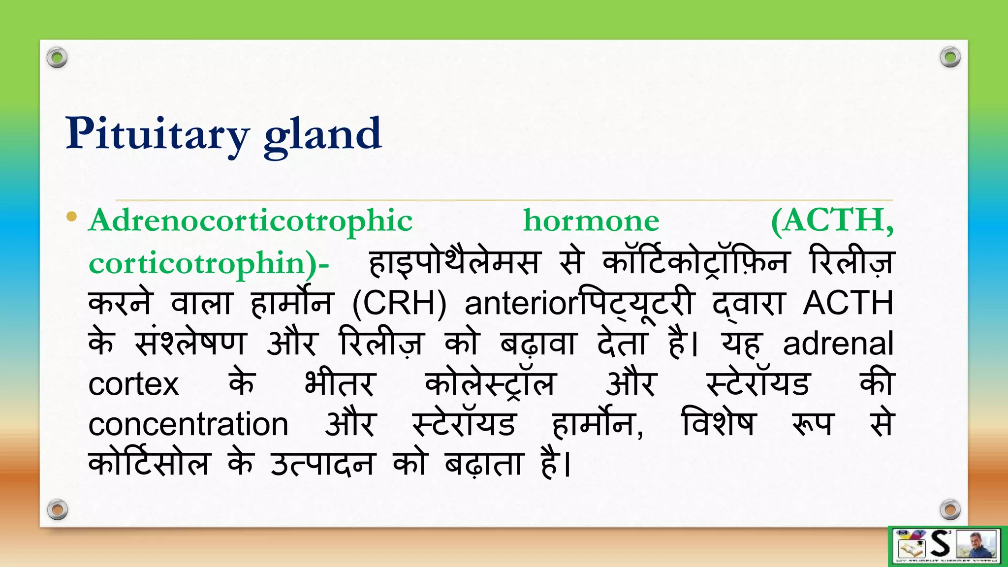 Endocrine glands part 1 hindi | PPTX
