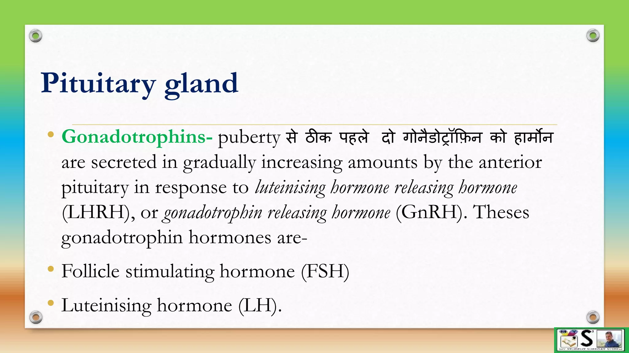 Endocrine glands part 1 hindi | PPTX
