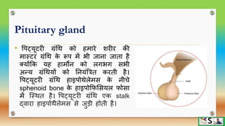 Endocrine glands part 1 hindi | PPTX