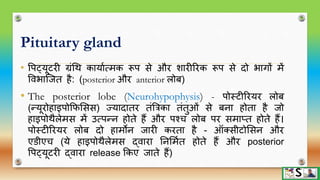Endocrine glands part 1 hindi | PPTX