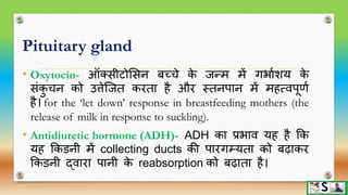 Endocrine glands part 1 hindi | PPTX