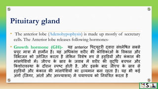 Endocrine glands part 1 hindi | PPTX