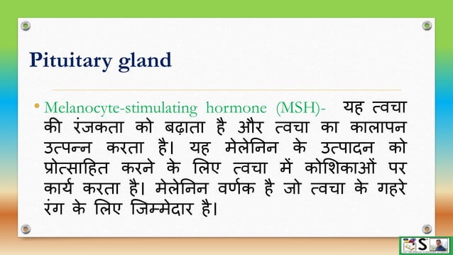 Endocrine glands part 1 hindi | PPTX