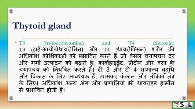 Endocrine glands part 1 hindi | PPTX
