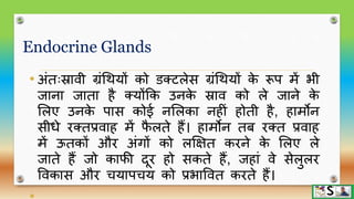 Endocrine glands part 1 hindi | PPTX