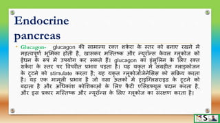 Endocrine glands part 2 hindi | PPTX