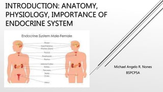 INTRODUCTION: ANATOMY,
PHYSIOLOGY, IMPORTANCE OF
ENDOCRINE SYSTEM
Michael Angelo R. Nones
BSPCP5A
 
