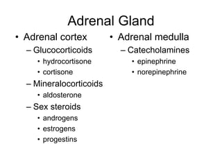 Adrenal Gland
• Adrenal cortex
– Glucocorticoids
• hydrocortisone
• cortisone
– Mineralocorticoids
• aldosterone
– Sex steroids
• androgens
• estrogens
• progestins
• Adrenal medulla
– Catecholamines
• epinephrine
• norepinephrine
 